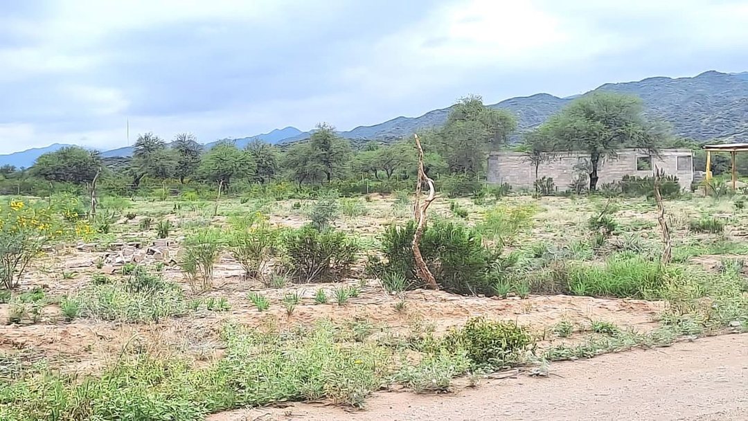TERRENO EN VENTA. 3000 M2. VALLE FERTIL