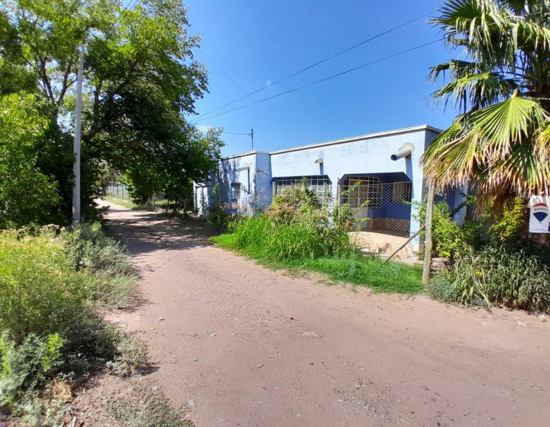 FINCA EN VENTA PALMIRA - SAN MARTIN - MENDOZA