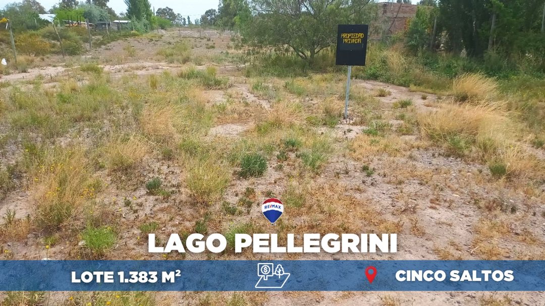 Lote en venta Lago Pellegrini