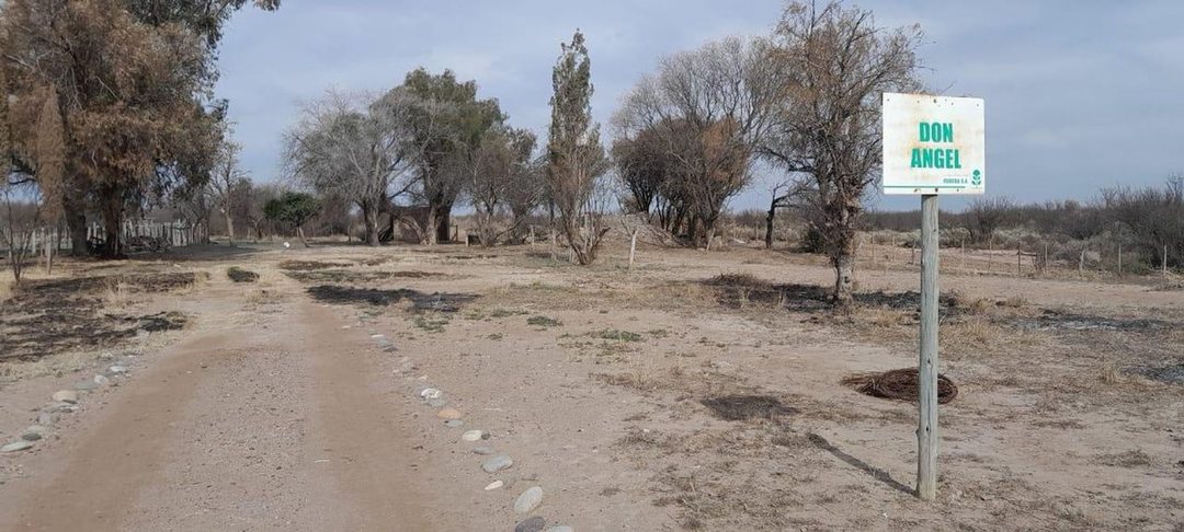 CAMPO EN VENTA MENDOZA