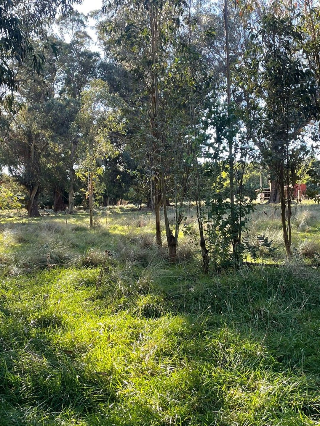 VENTA LOTE PARQUE BRISTOL MIRAMAR