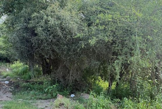 venta terreno de 300 metros en salsipuedes cordoba