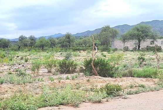 TERRENO EN VENTA. 3000 M2. VALLE FERTIL