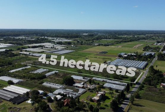 VENTA DE HECTAREAS EN CITY BELL