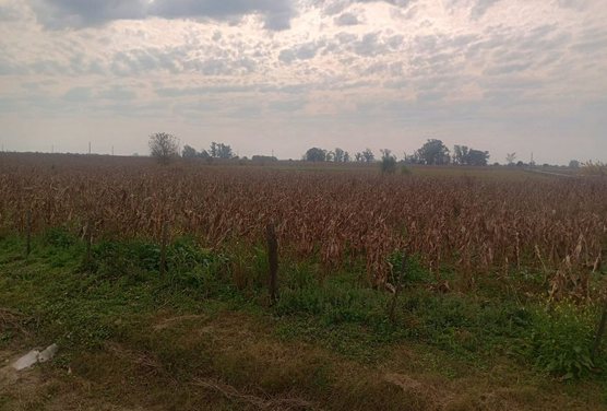 Campo en Ruta 70, al Este de Esperanza. 2 Has.