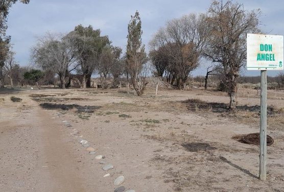 CAMPO EN VENTA MENDOZA