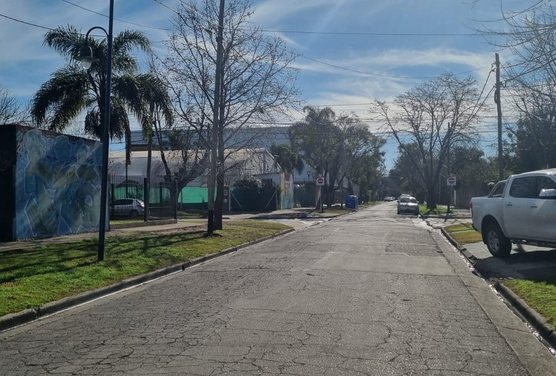 LOTE EN VENTA CON CASAS EN BENAVIDEZ CENTRO