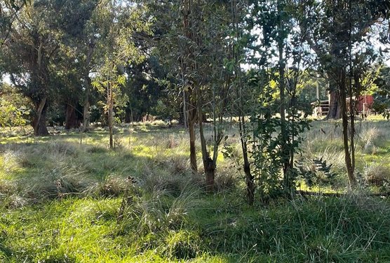 VENTA LOTE PARQUE BRISTOL MIRAMAR
