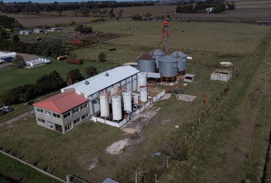 Se VENDE Planta Procesadora de Aceite y Pelet soja