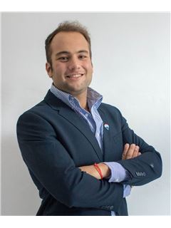 Tomás Borlle