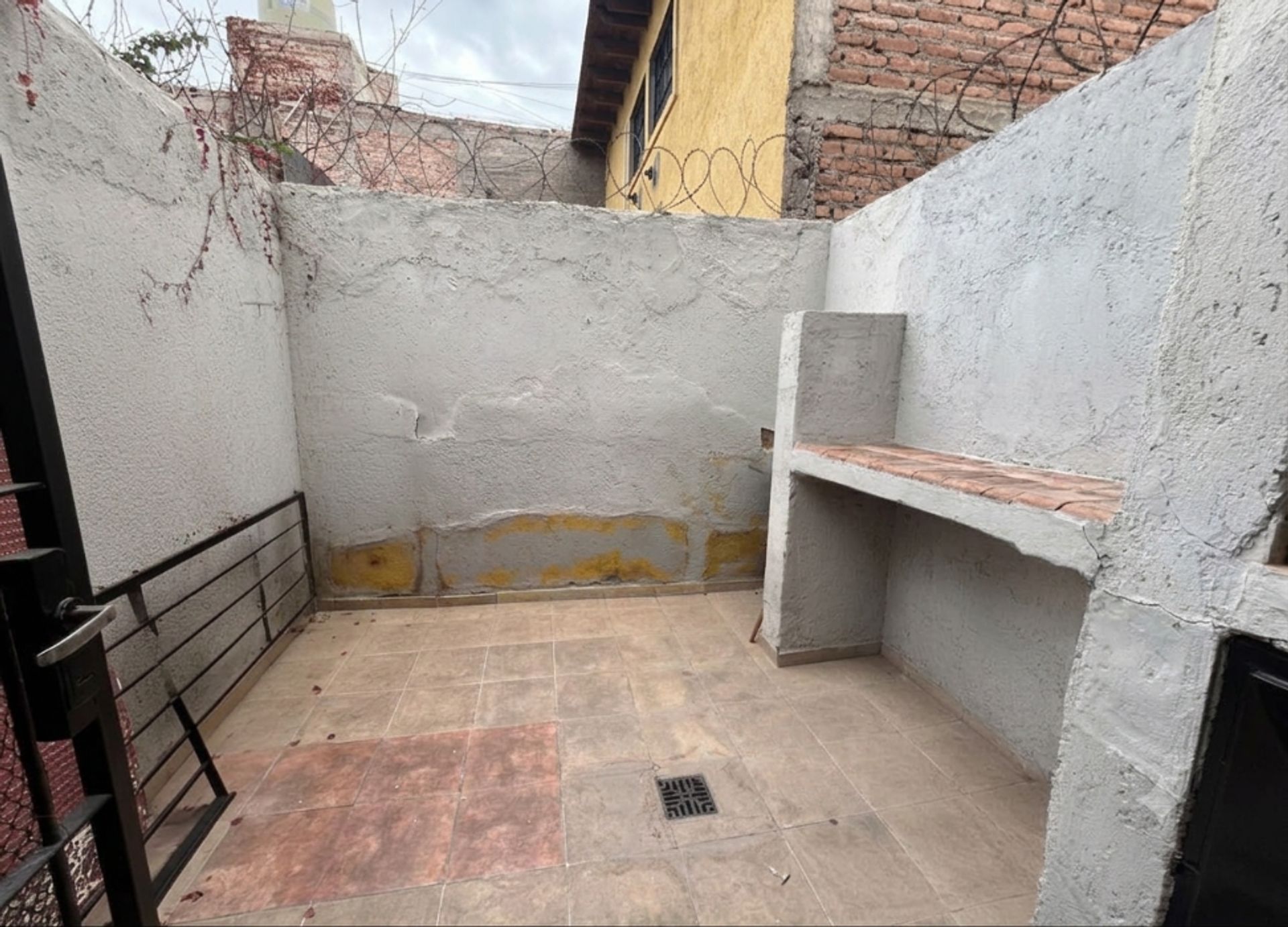 Imagen 12