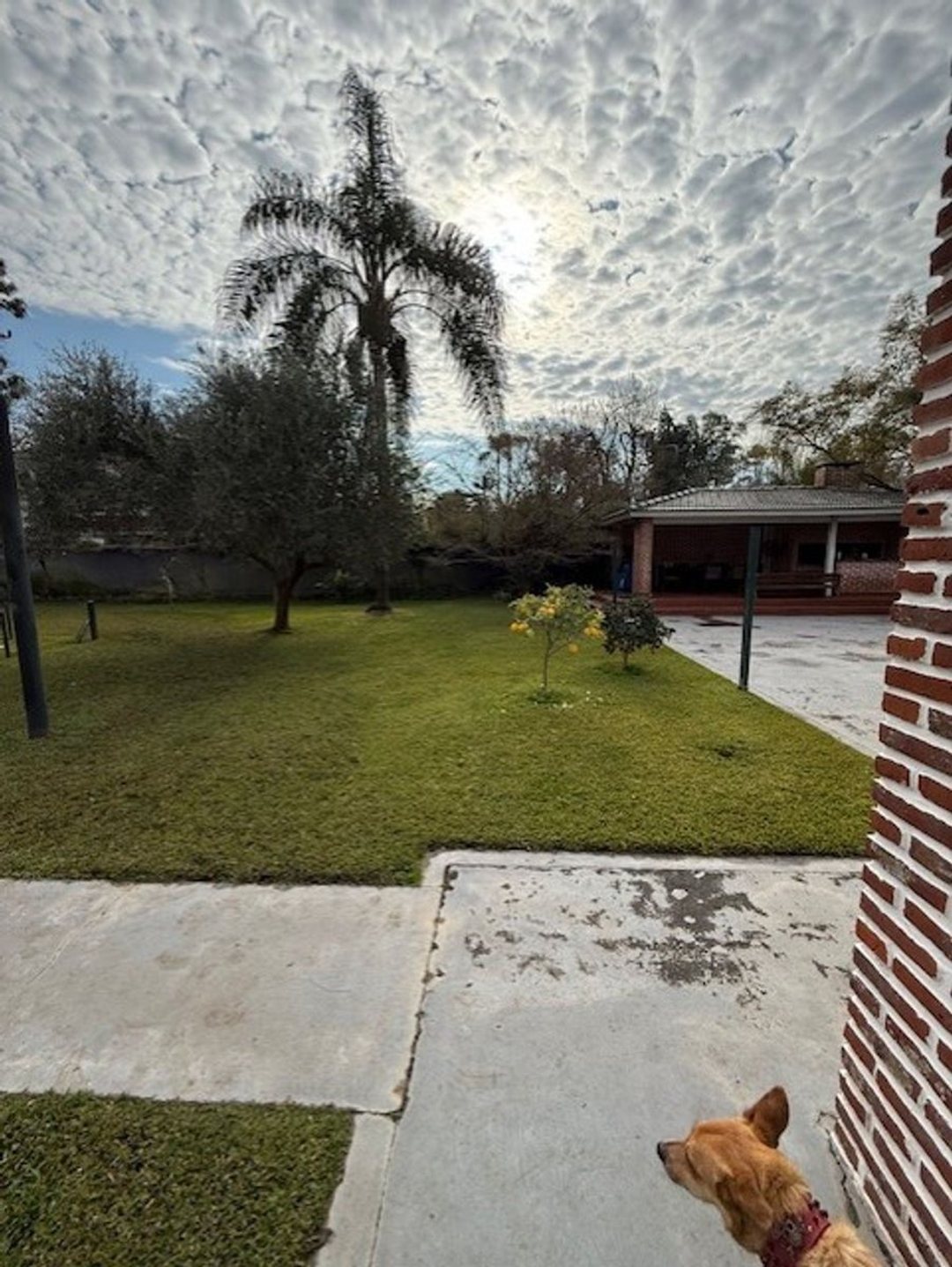 LOTE CON CONSTRUCCION NUEVA SAN ISIDRO LAS LOMAS