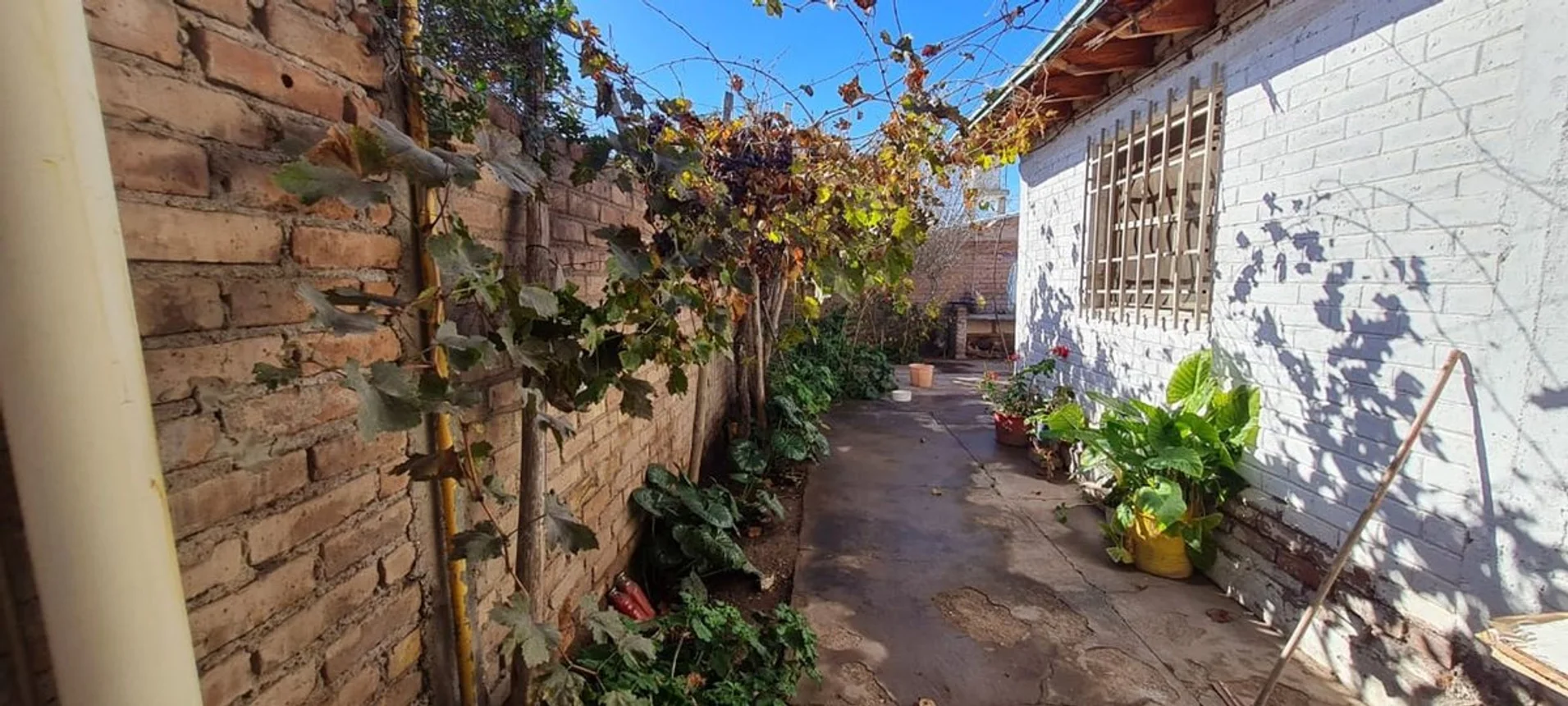 Casa de 3 ambientes en venta en Luján de Cuyo, Barrio Paula Albarracin de Sarmiento M F - C 28 Perdriel 0, foto 5