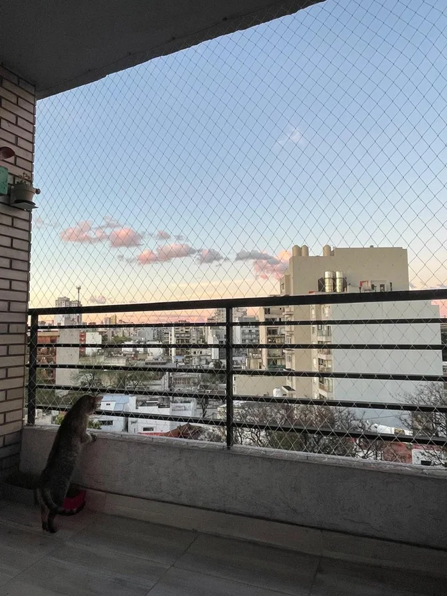 Departamento de 2 ambientes en venta en Chacarita, Avenida Forest 600, foto 2