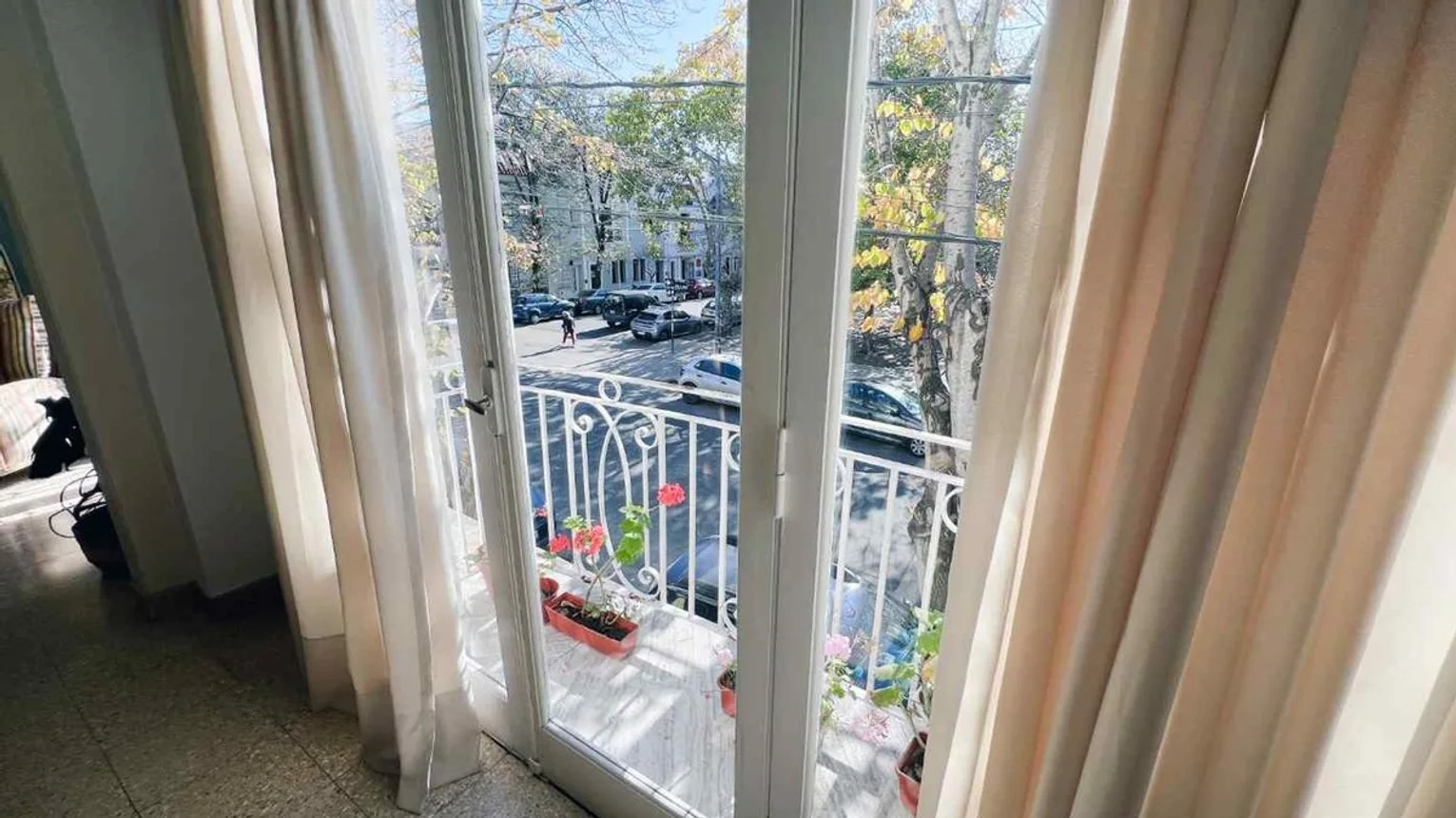 Departamento en venta en Mar del Plata, foto 5