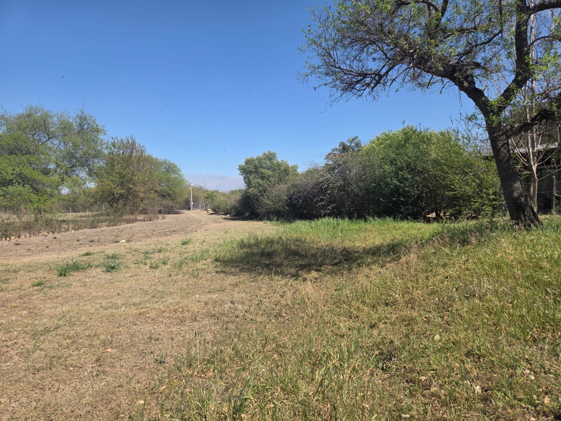 TERRENO VENTA EL PRADO ECO VILLAGE  1211M2 - foto 9