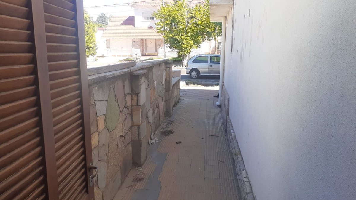 Imagen 15