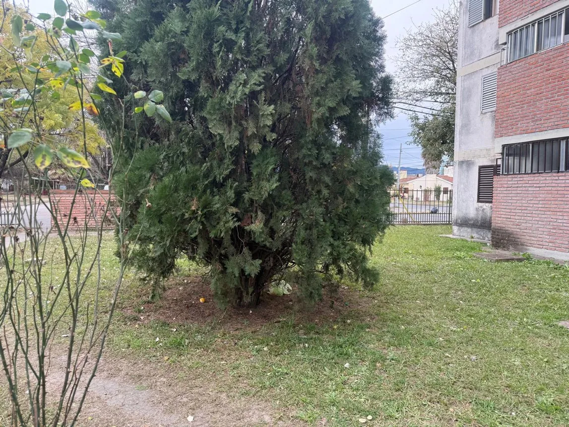 Departamento en venta en Salta, foto 4