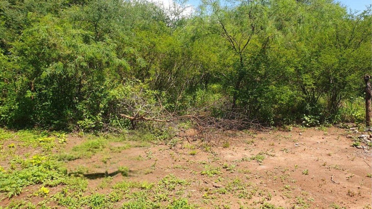 CAMPO VENTA CORONEL MOLDES - foto 3