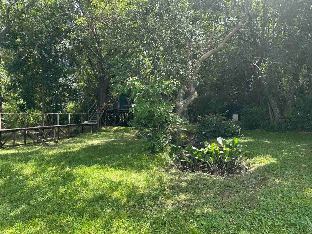 Foto 28 — VENTA LOTE C/CASA PARANÁ DE LAS PALMAS FTE. PUERTO
