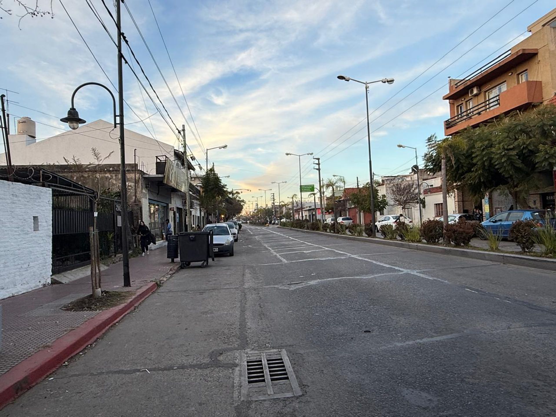 Foto 8 — VENTA TERRENO SOBRE AV. AVELLANEDA– VIRREYES