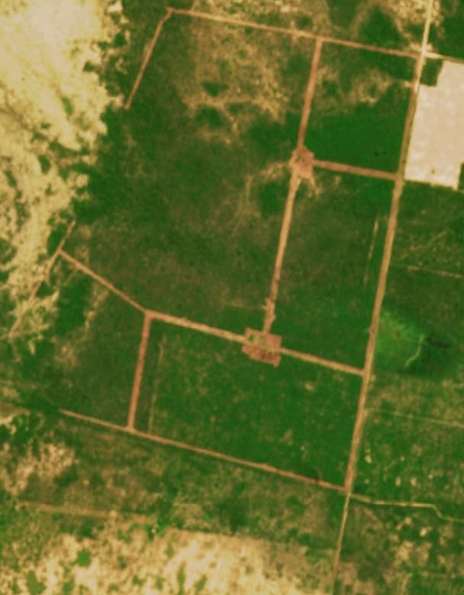 Campo en venta ganadero 401 ha cercano a ruta