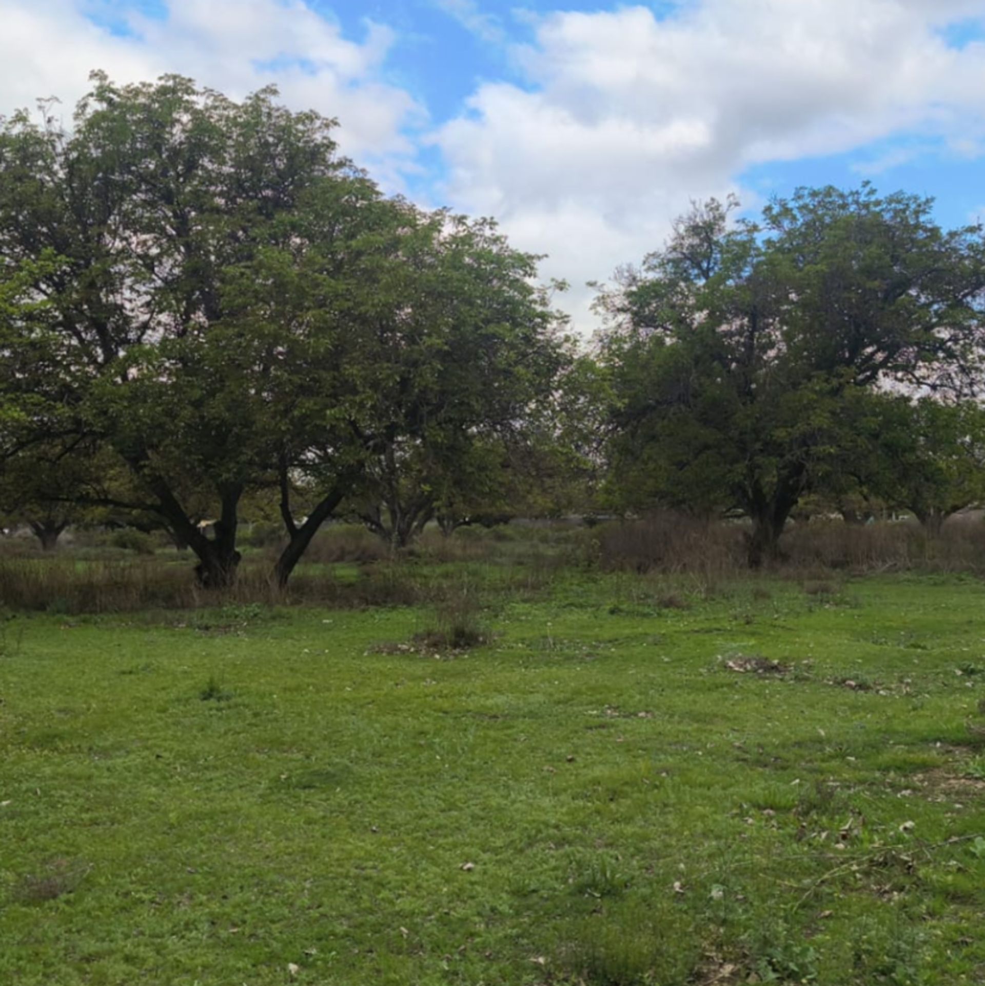 Terreno en Carril Nacional 0