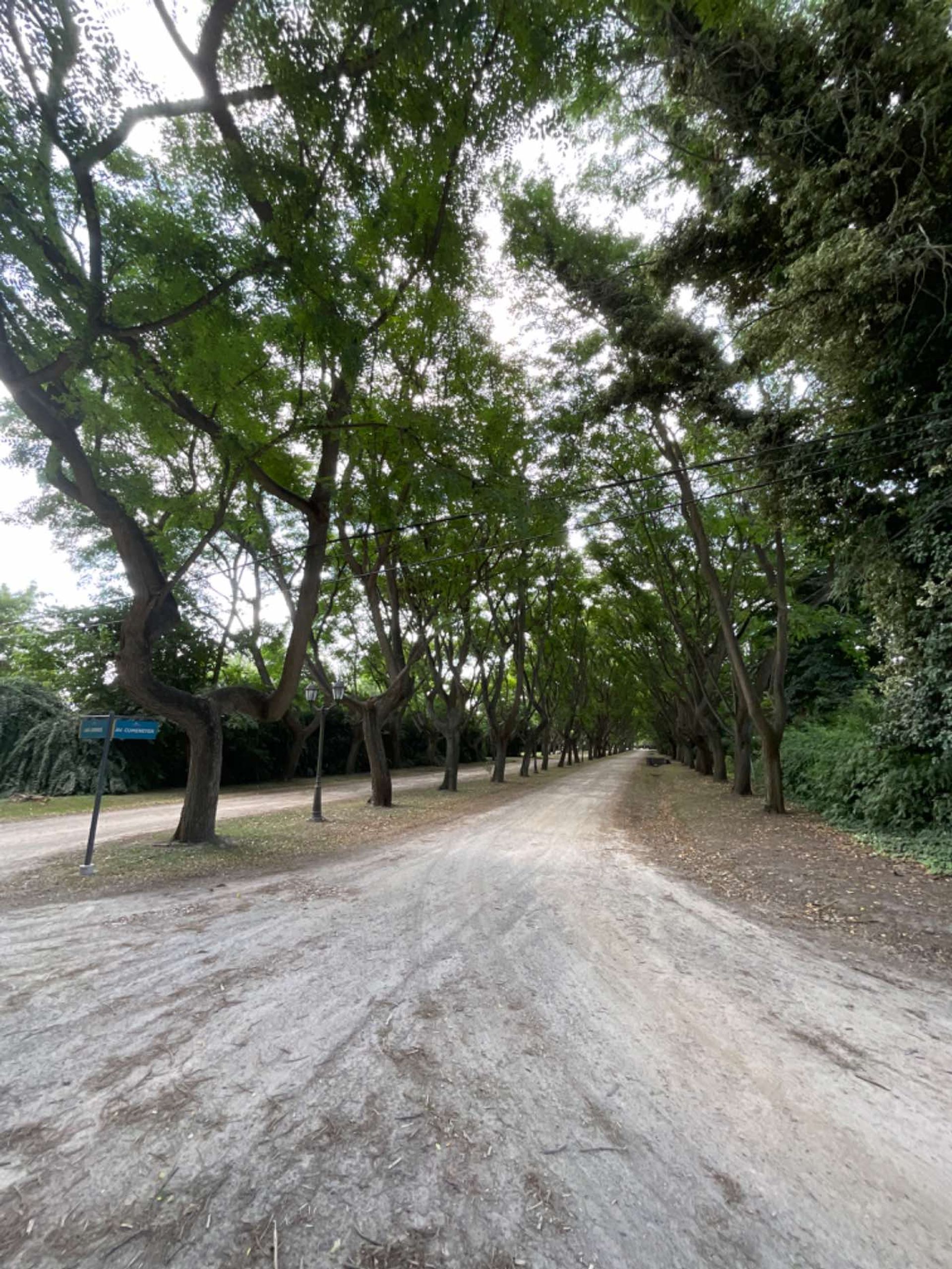 Foto 12 — VENTA LOTE CAMPOS DE ROCA I CENTRAL