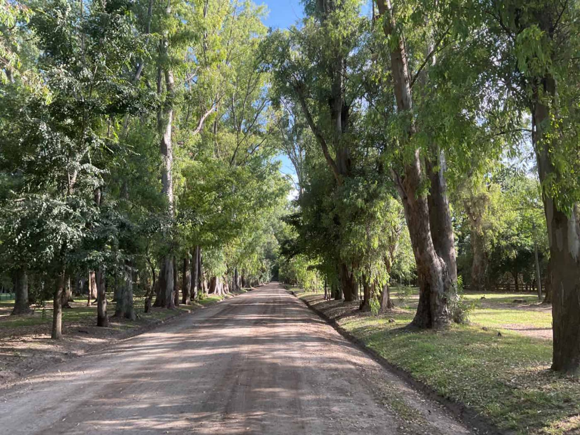 Foto 4 — VENTA LOTE CAMPOS DE ROCA I CENTRAL