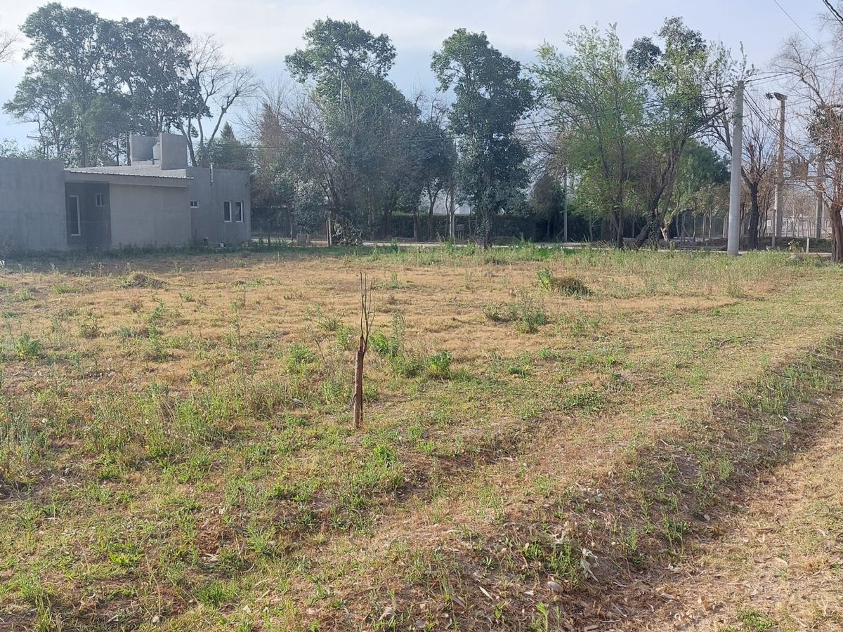 TERRENO VENTA BARRIO PRIVADO LOS OLMOS CERRILLOS - foto 6