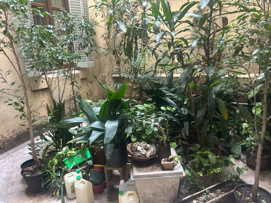 Vende departamento de estilo 3 amb apto prof, foto 3