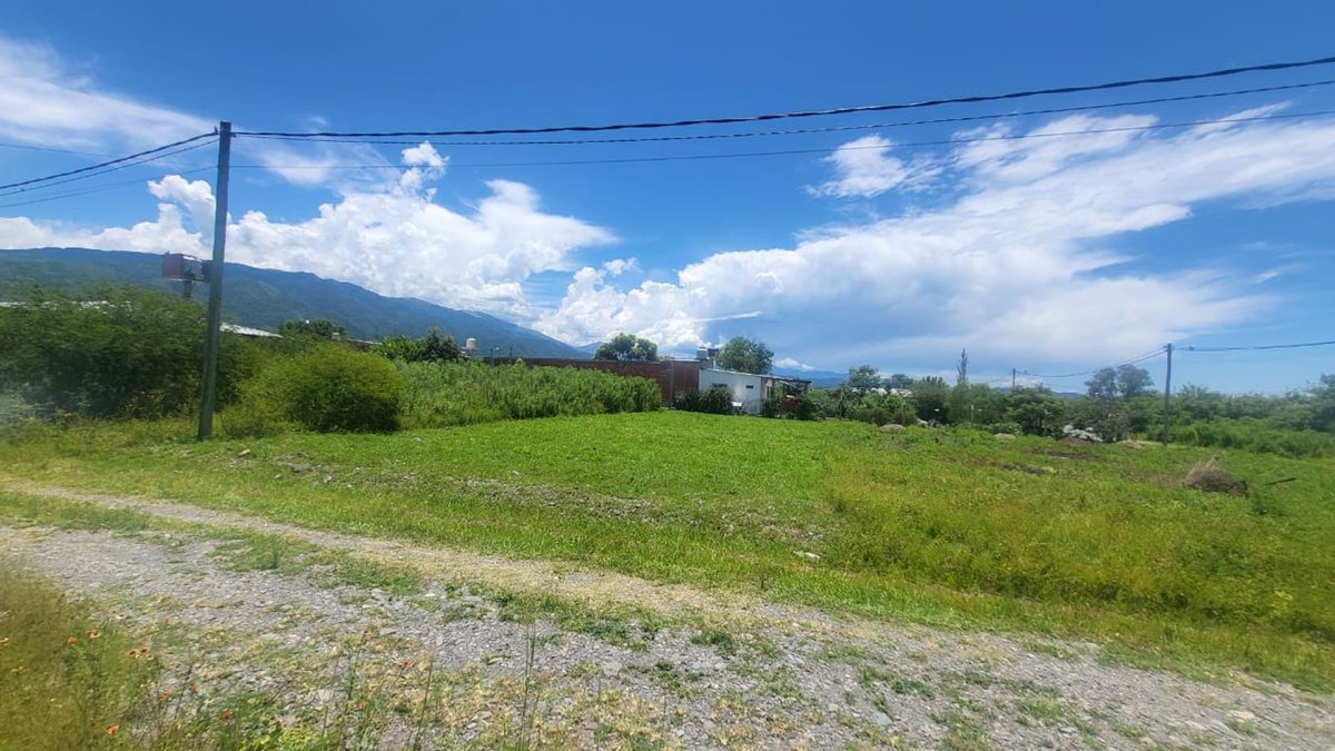 TERRENO VENTA CAMPO QUIJANO 450 M2 - foto 3