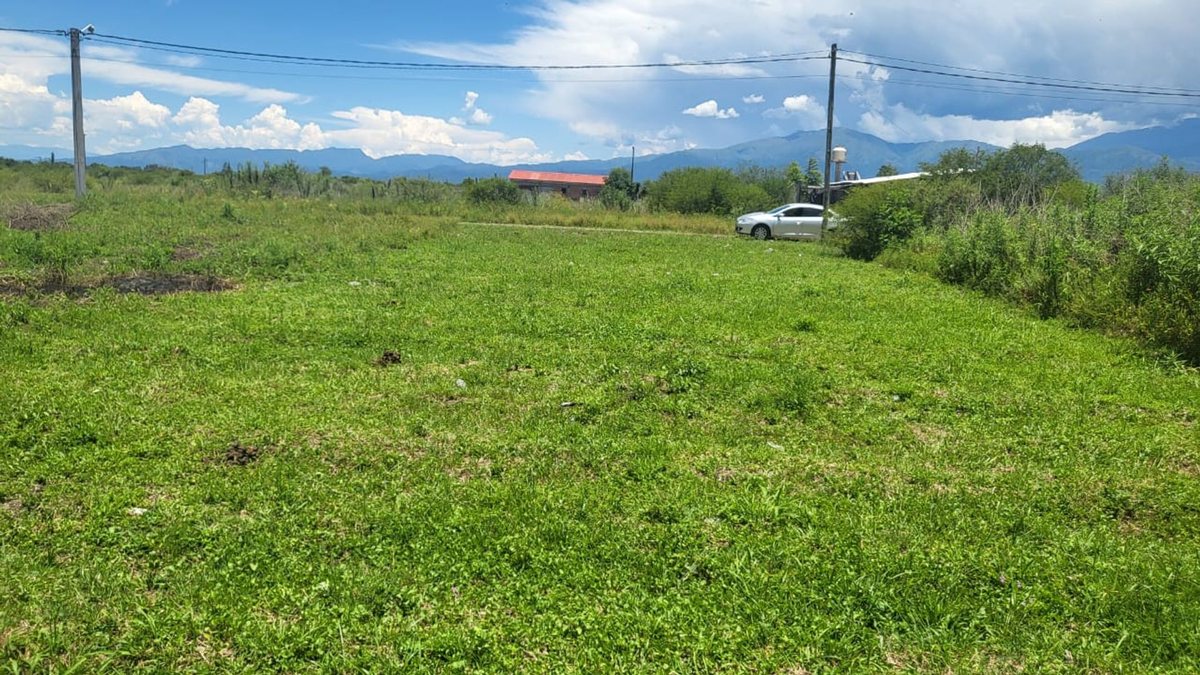TERRENO VENTA CAMPO QUIJANO 450 M2 - foto 4