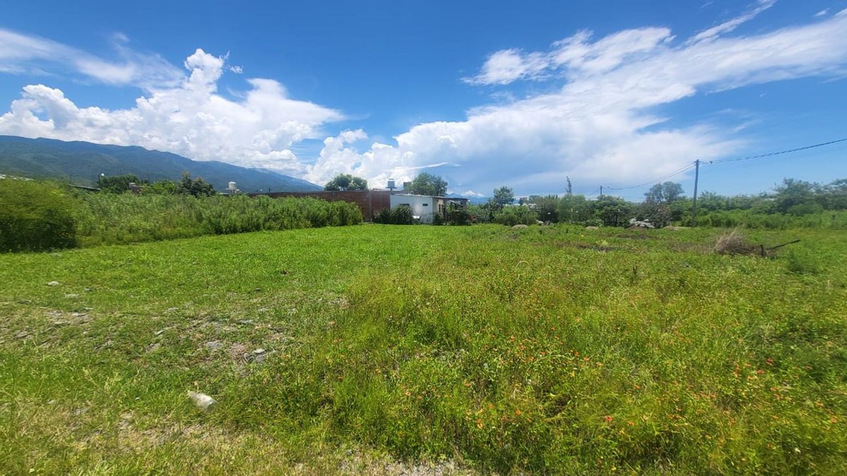 TERRENO VENTA CAMPO QUIJANO 450 M2 - foto 2