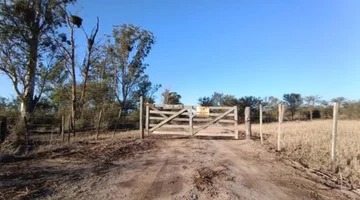 Campo en alquiler · San Bernardo
