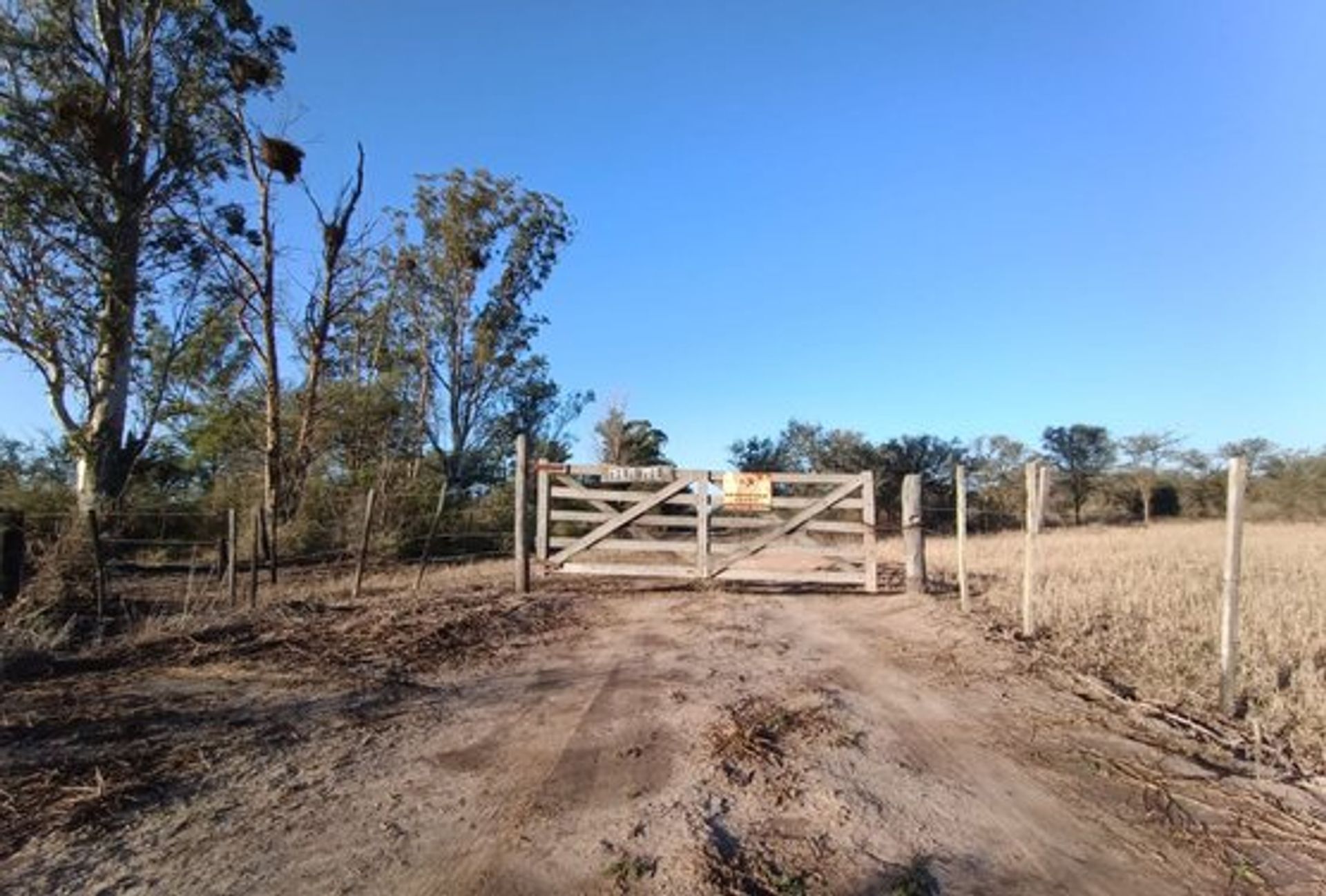 Campo en alquiler – Distrito San Bernardo