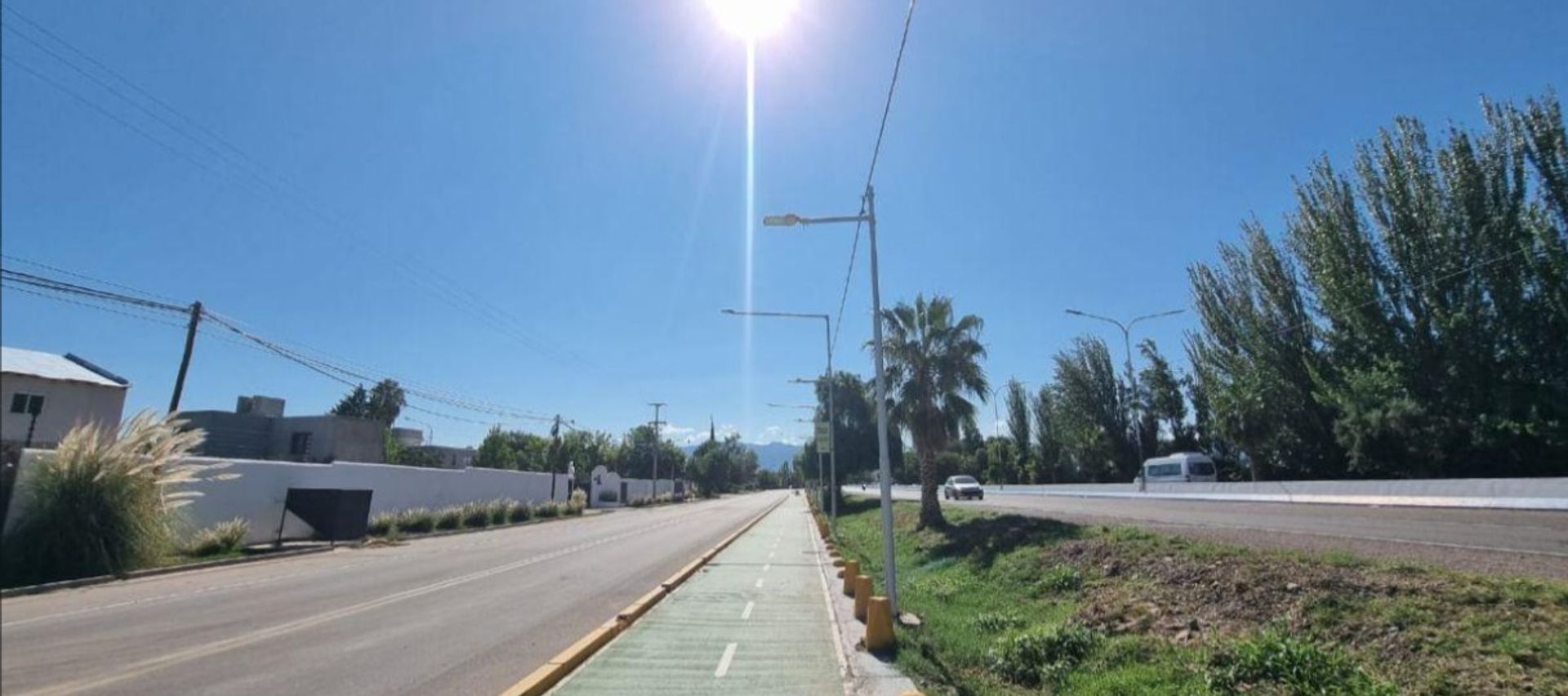 Imagen 5