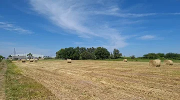Campo en venta · Santo Tomé