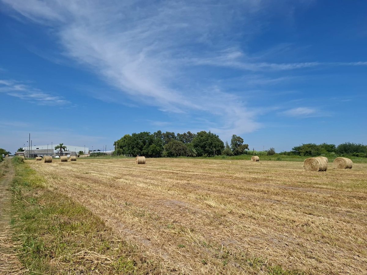 Vta Campo en Avenida Las Baleares 5 ha.Sauce Viejo