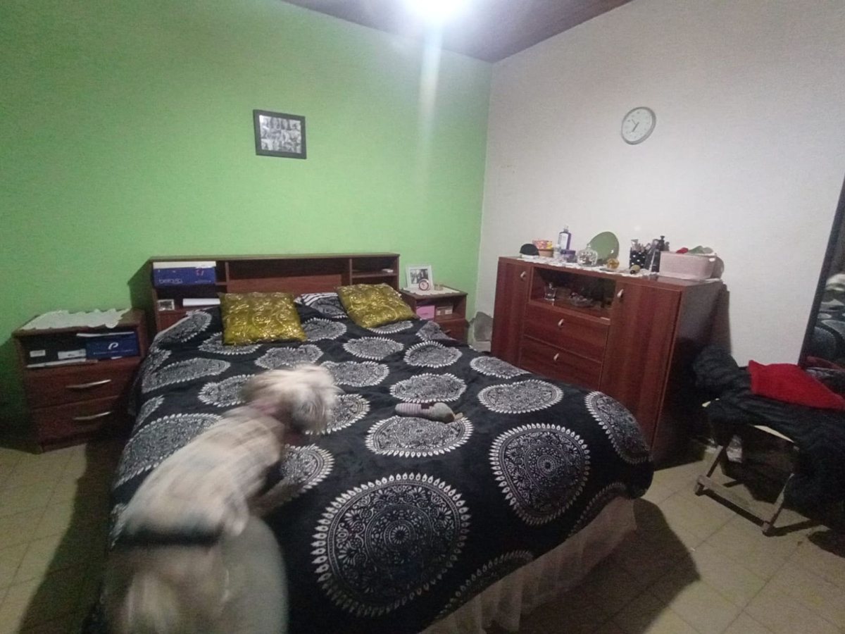 Imagen 25