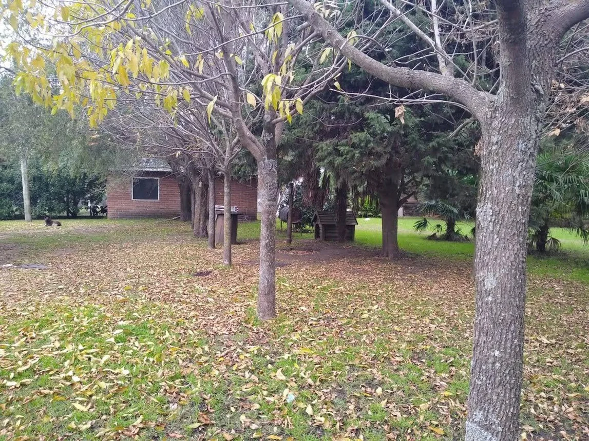 Casa en venta en Mar del Plata, foto 3