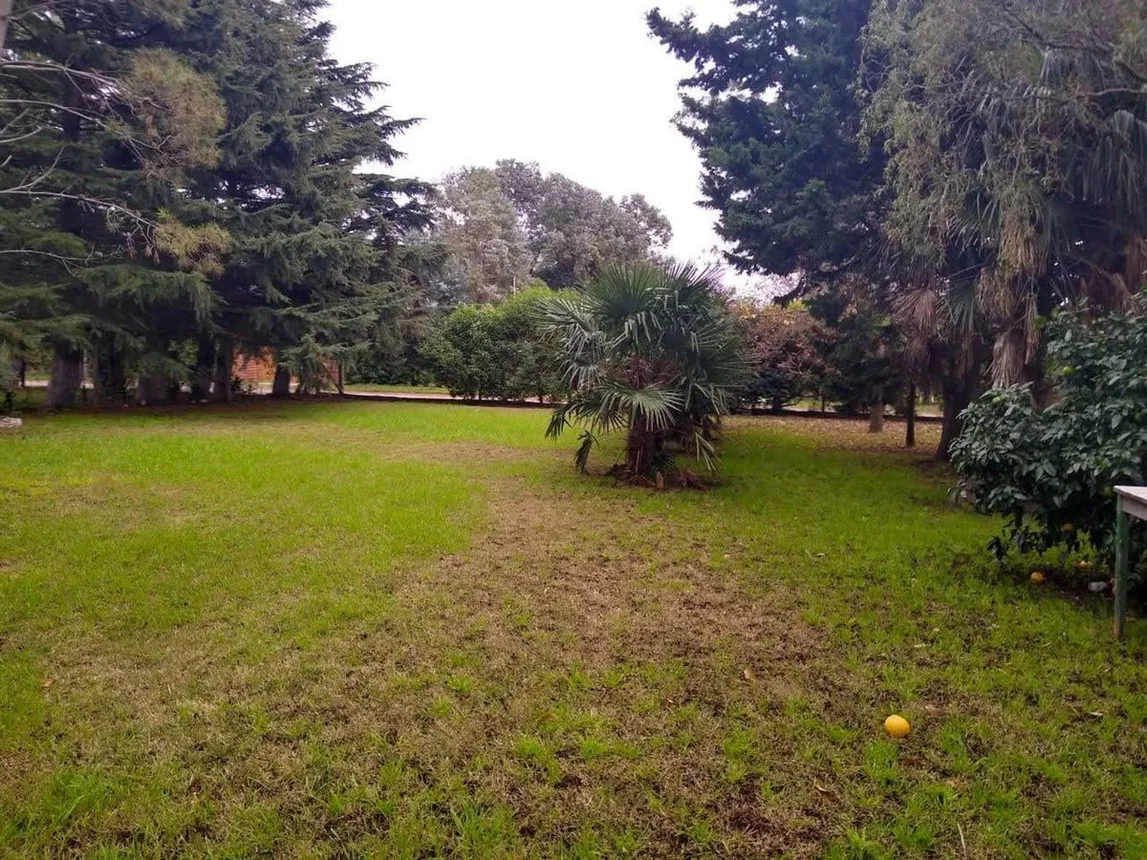 Casa en venta en Mar del Plata, foto 2
