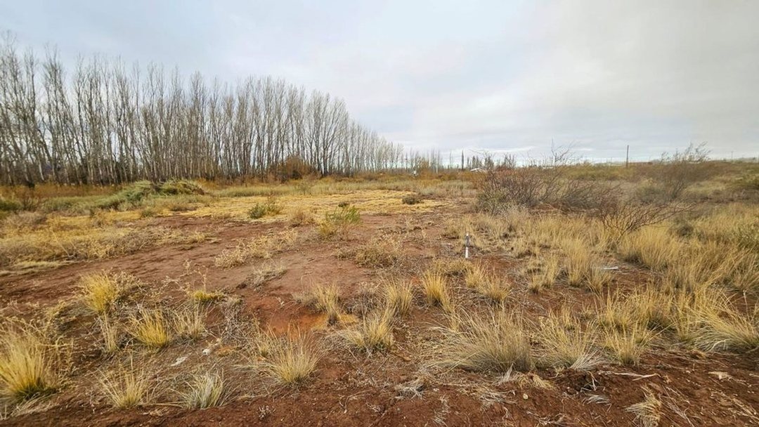 VENTA DE TERRENO DE 300 M2  - LOTEO AMEDEA