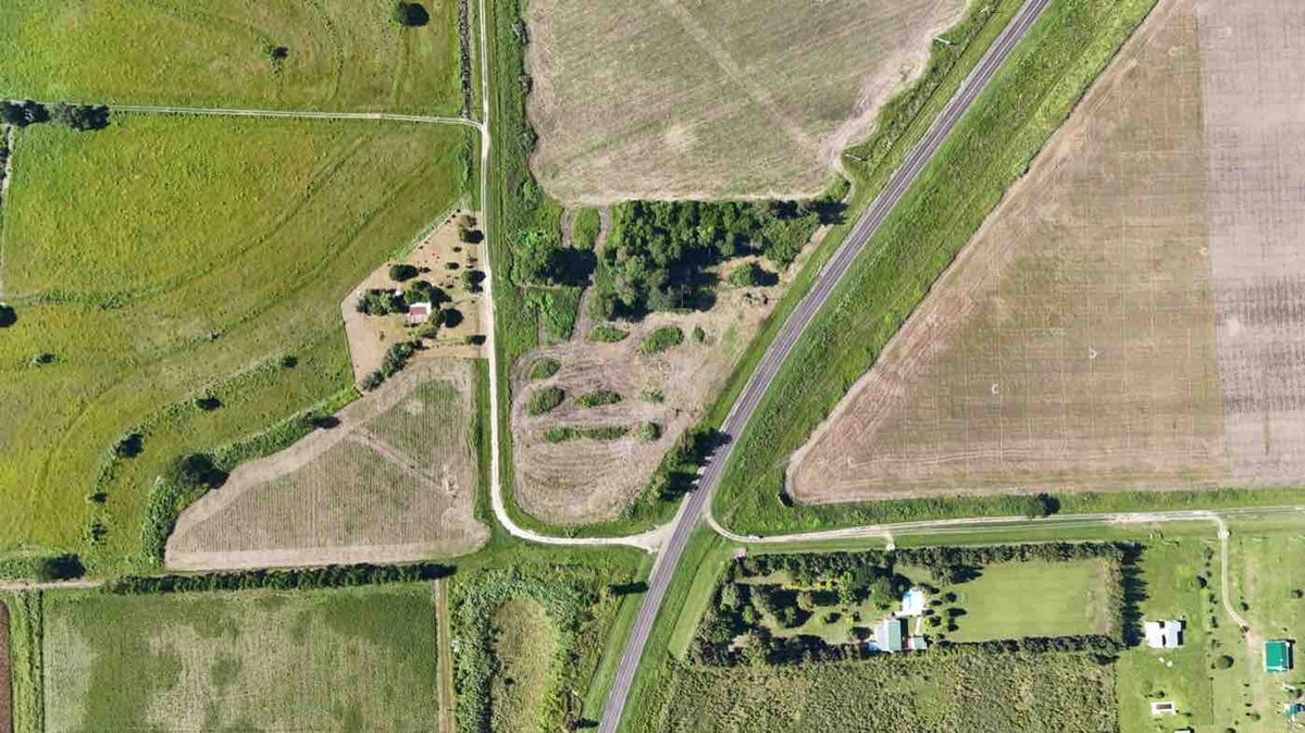 Foto 14 — LOTE sobre Ruta RN N11 en AVELLANEDA (Santa Fe)