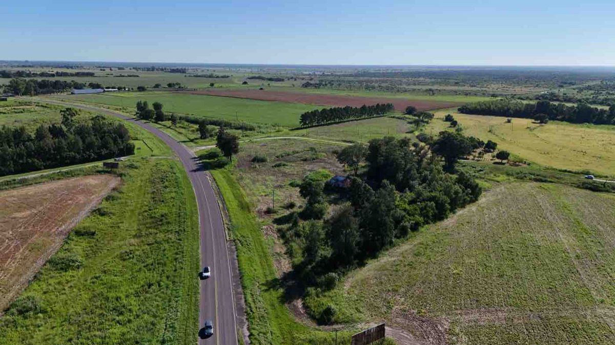 Foto 11 — LOTE sobre Ruta RN N11 en AVELLANEDA (Santa Fe)
