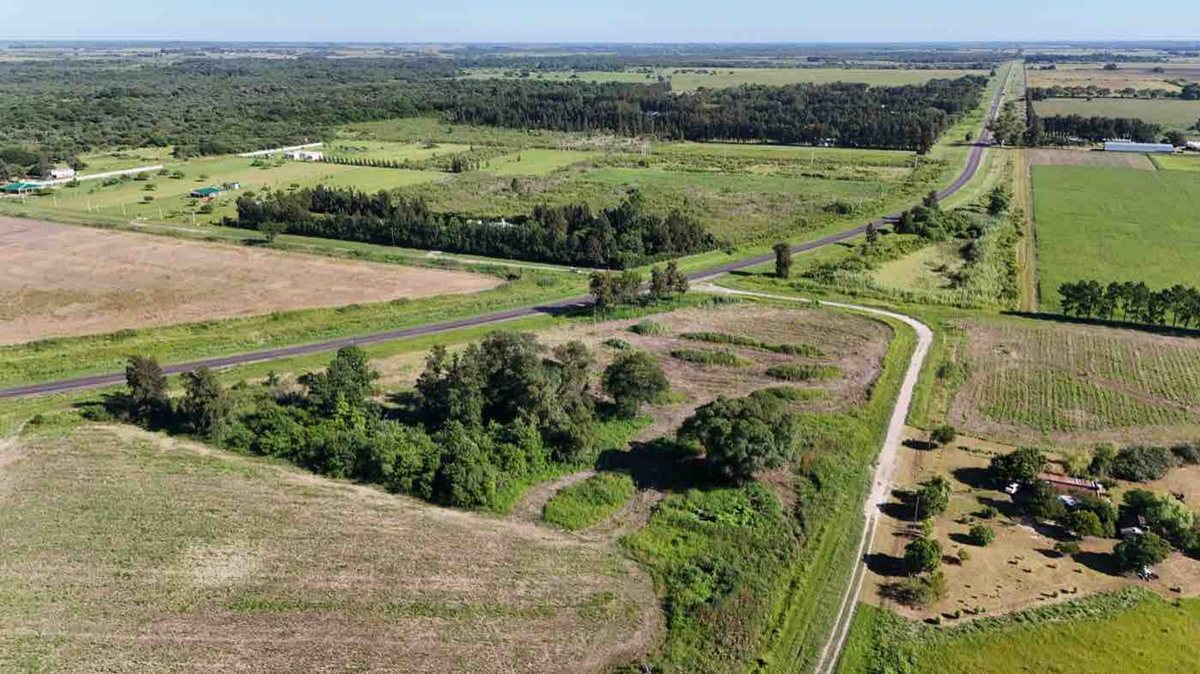 Foto 12 — LOTE sobre Ruta RN N11 en AVELLANEDA (Santa Fe)