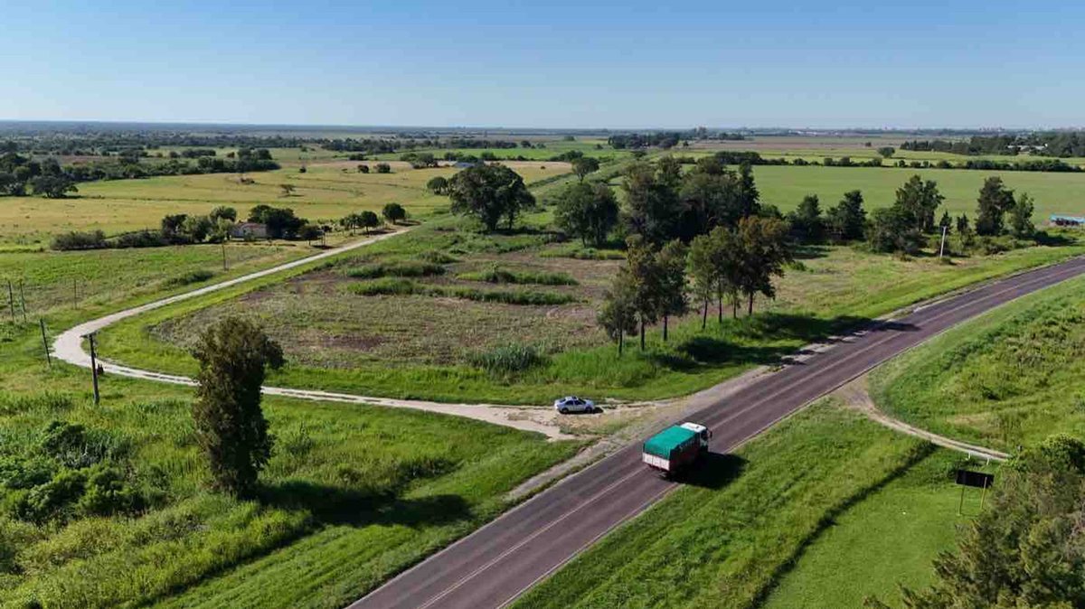 Foto 7 — LOTE sobre Ruta RN N11 en AVELLANEDA (Santa Fe)