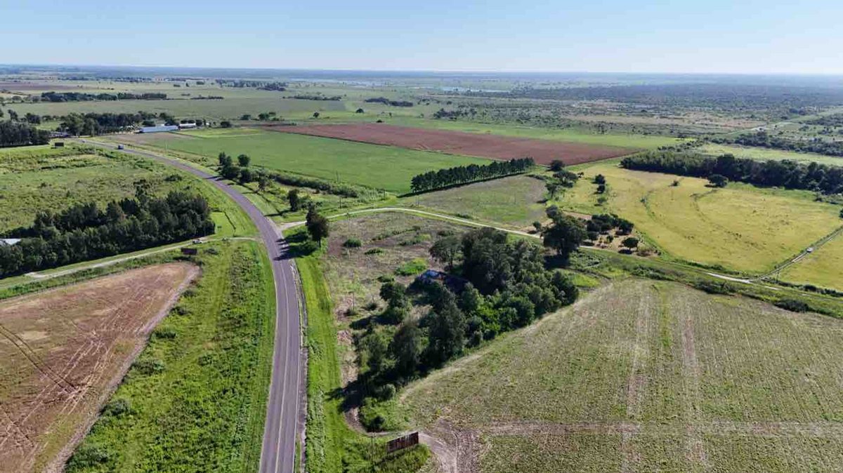 Foto 10 — LOTE sobre Ruta RN N11 en AVELLANEDA (Santa Fe)