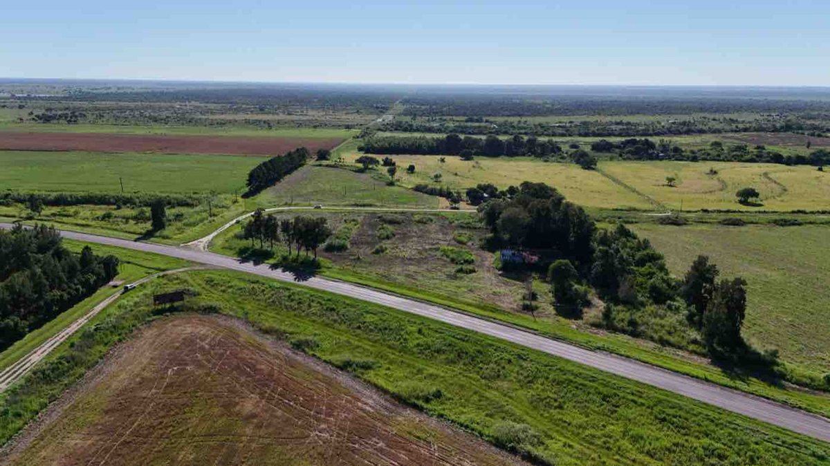 Foto 9 — LOTE sobre Ruta RN N11 en AVELLANEDA (Santa Fe)