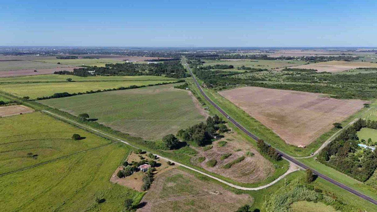 Foto 6 — LOTE sobre Ruta RN N11 en AVELLANEDA (Santa Fe)
